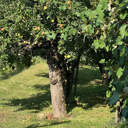 Maria's Orchard - Nature Retreat In Slovenia