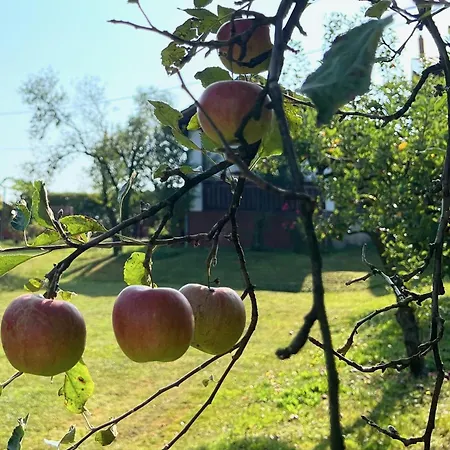 Maria's Orchard - Nature Retreat In Slovenia Nyaraló