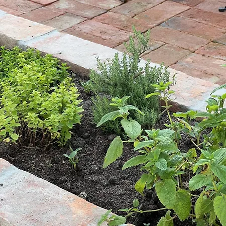 Vakantiehuis Maria's Orchard - Nature Retreat In Slovenia Rogaška Slatina