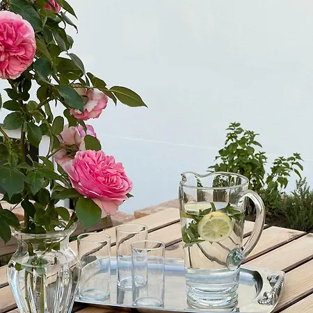 Maria's Orchard - Nature Retreat In Slovenia Vakantiehuis