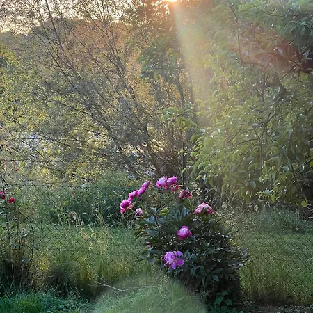 Vakantiehuis Maria's Orchard - Nature Retreat In Slovenia *