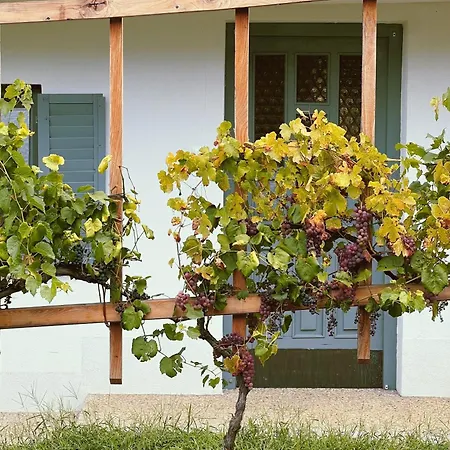 Vakantiehuis Maria's Orchard - Nature Retreat In Slovenia Rogaška Slatina