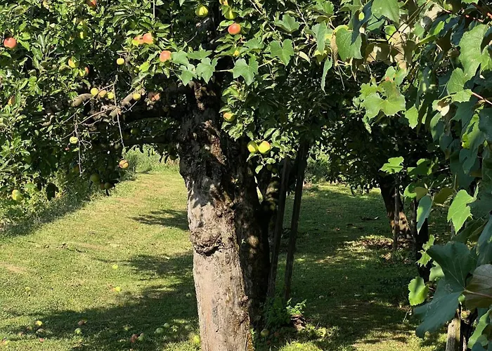 Maria's Orchard - Nature Retreat In Slovenia
