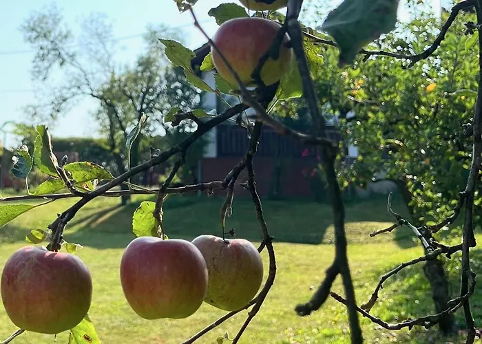 Maria's Orchard - Nature Retreat In Slovenia בית נופש