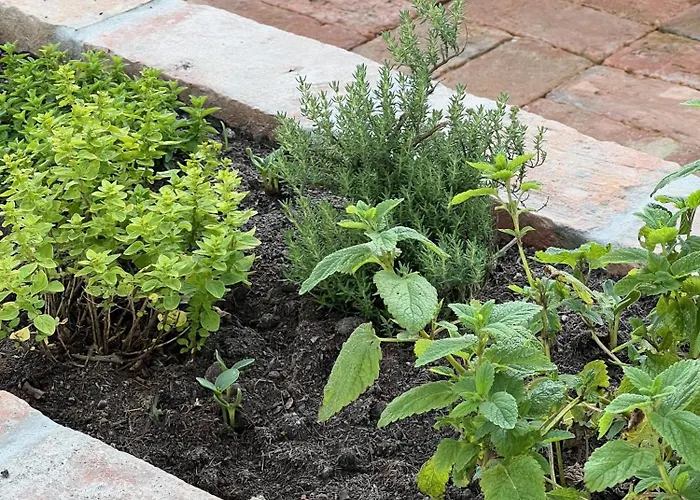 בית נופש Maria's Orchard - Nature Retreat In Slovenia רוגאסקה סלאטינה