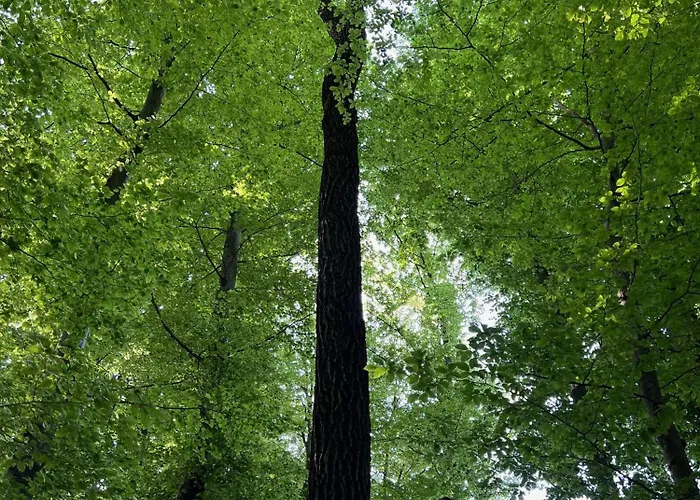 Maria's Orchard - Nature Retreat In Slovenia