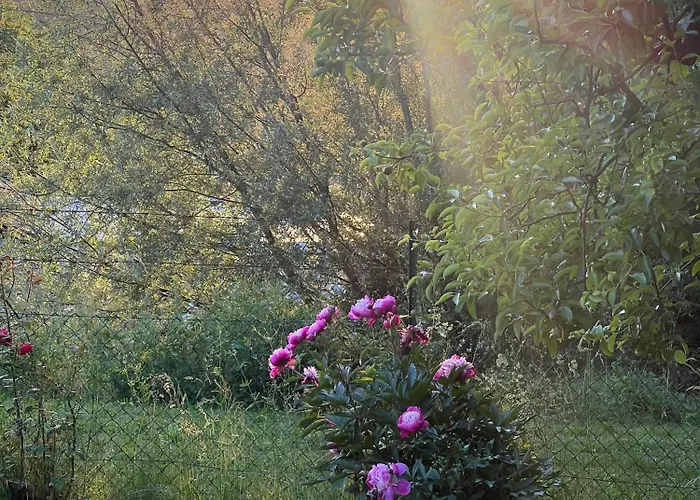 בית נופש Maria's Orchard - Nature Retreat In Slovenia *